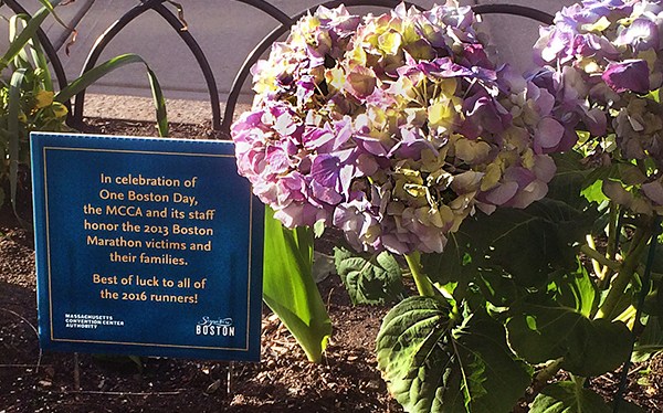 bits of inspiration –&nbsp;#13.