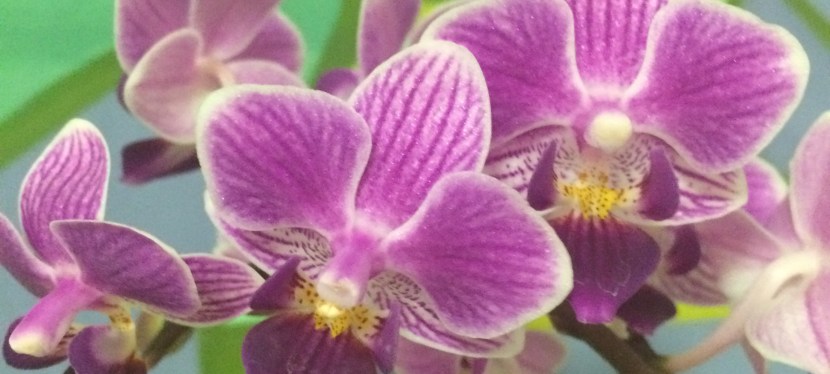 bits of inspiration –&nbsp;#15.