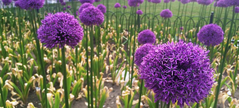 bits of inspiration –&nbsp;#35.