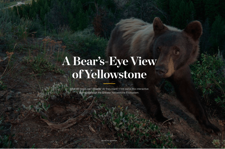 Screen Shot 2016-05-24 at 4.00.08 PM