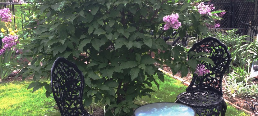 bits of inspiration –&nbsp;#42.