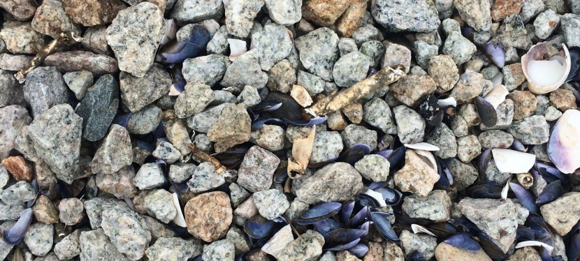 bits of inspiration –&nbsp;#61.