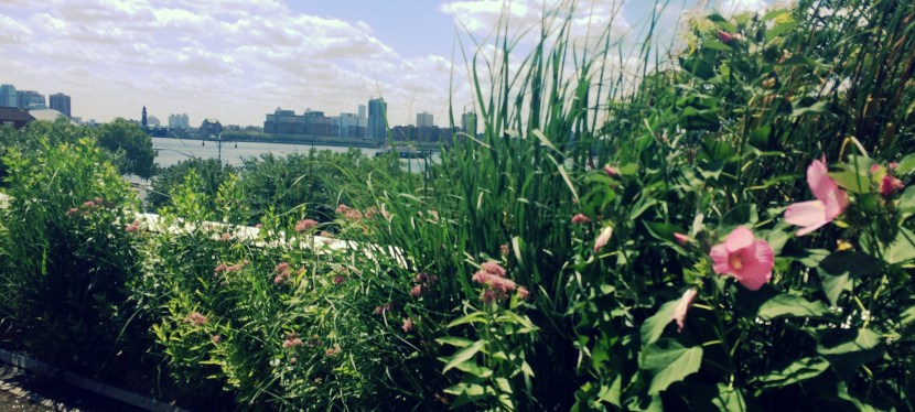 bits of inspiration –&nbsp;#63.