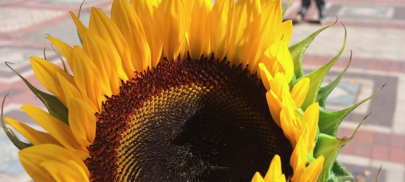 bits of inspiration –&nbsp;#67.